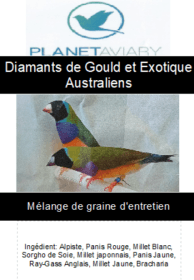 Planet Aviary- Melange-maintenance-gould7.jpg